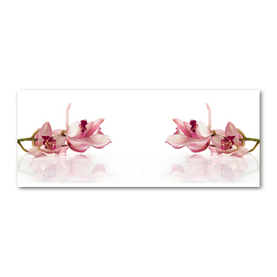 Obraz zdjęcie na ścianę akryl Orchidea