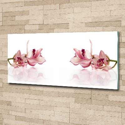 Obraz zdjęcie na ścianę akryl Orchidea
