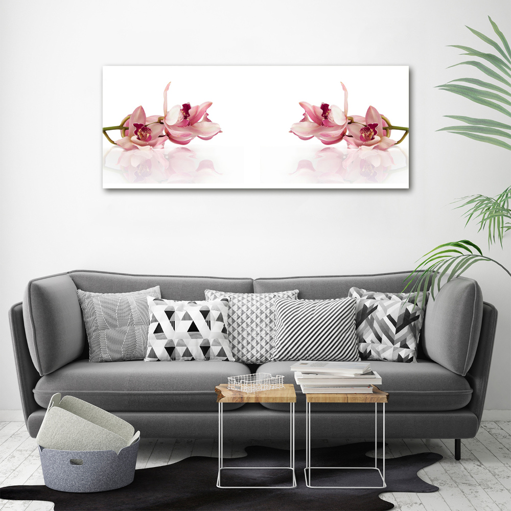 Obraz zdjęcie na ścianę akryl Orchidea