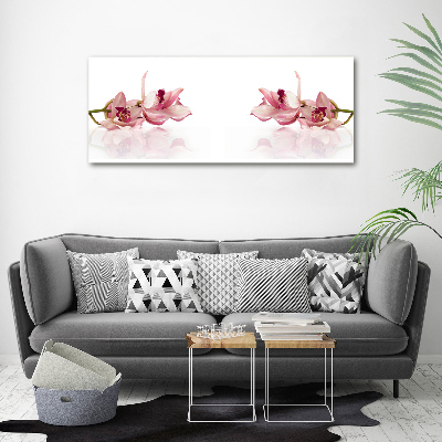 Obraz zdjęcie na ścianę akryl Orchidea