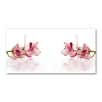 Obraz zdjęcie na ścianę akryl Orchidea