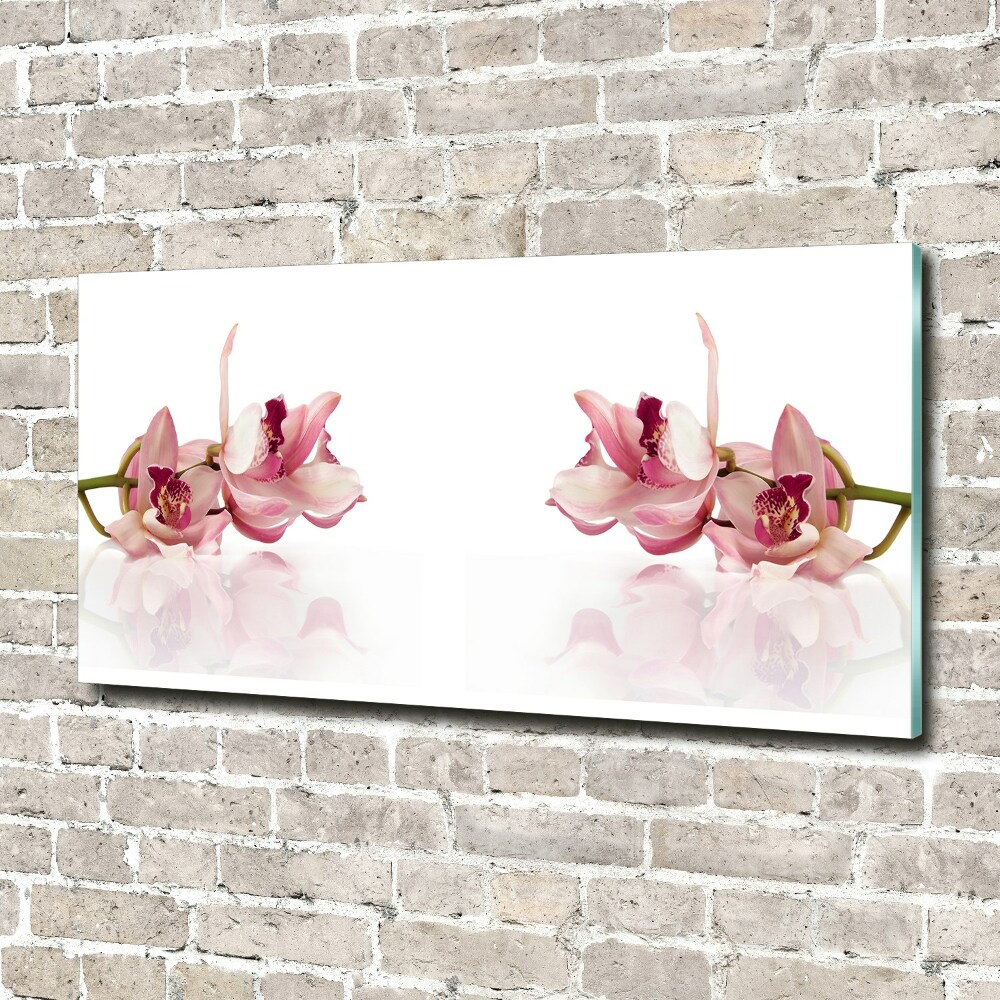 Obraz zdjęcie na ścianę akryl Orchidea