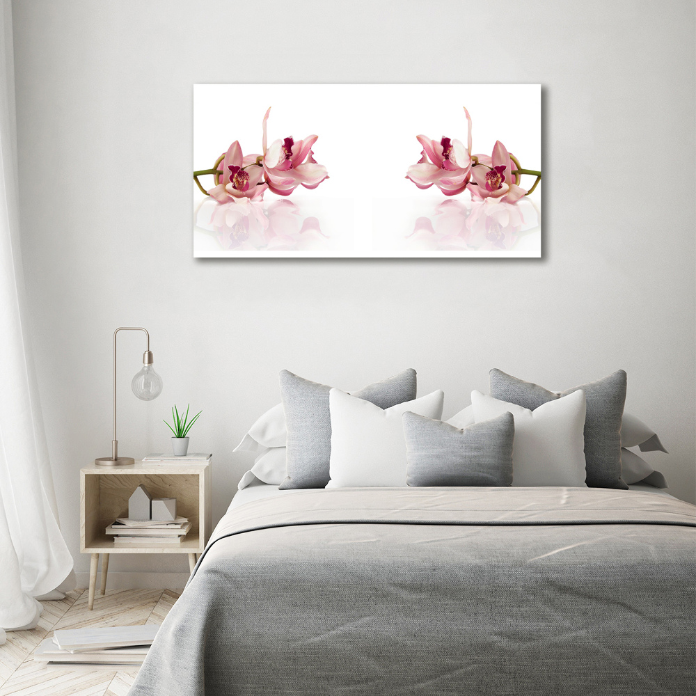 Obraz zdjęcie na ścianę akryl Orchidea
