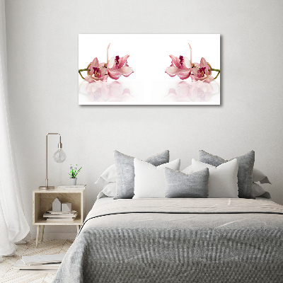 Obraz zdjęcie na ścianę akryl Orchidea