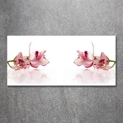 Obraz zdjęcie na ścianę akryl Orchidea