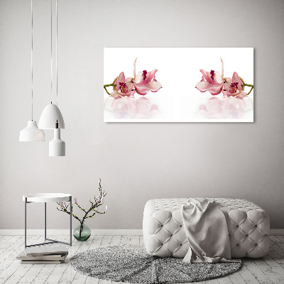 Obraz zdjęcie na ścianę akryl Orchidea