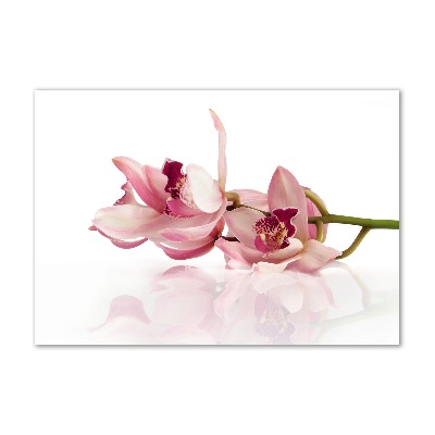 Obraz zdjęcie na ścianę akryl Orchidea