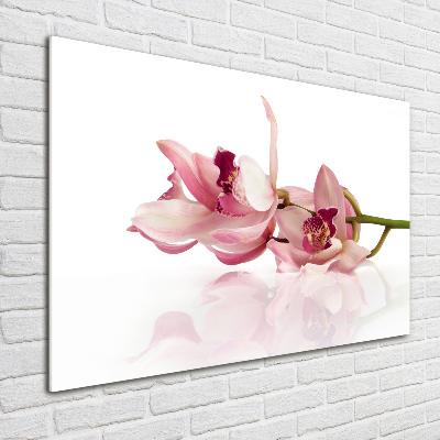 Obraz zdjęcie na ścianę akryl Orchidea