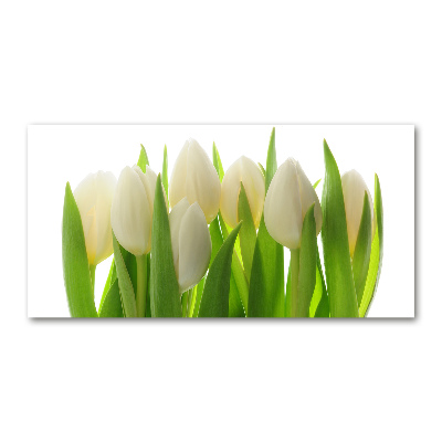 Obraz zdjęcie na ścianę akryl Tulipany