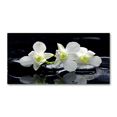 Obraz zdjęcie na ścianę akryl Orchidea