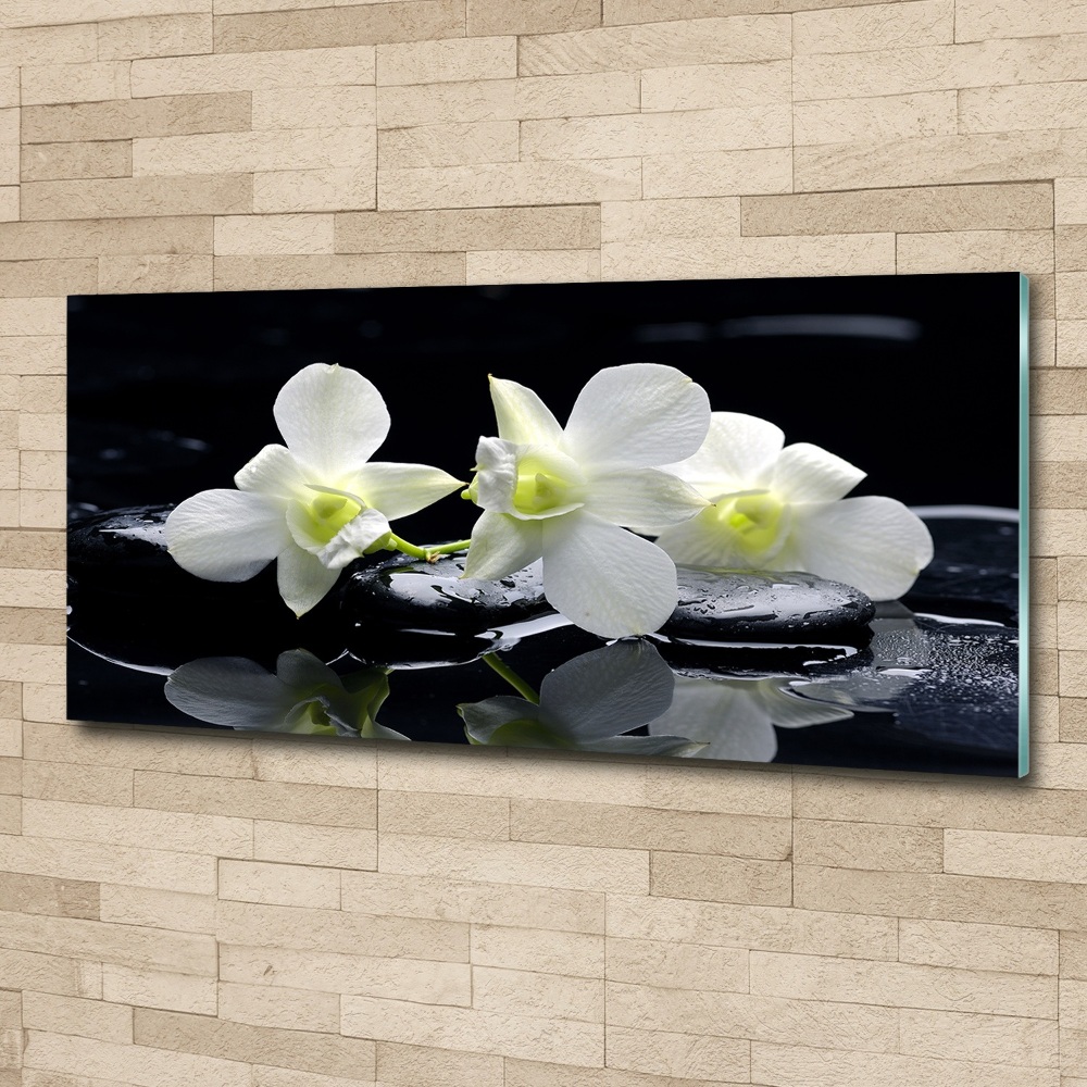 Obraz zdjęcie na ścianę akryl Orchidea