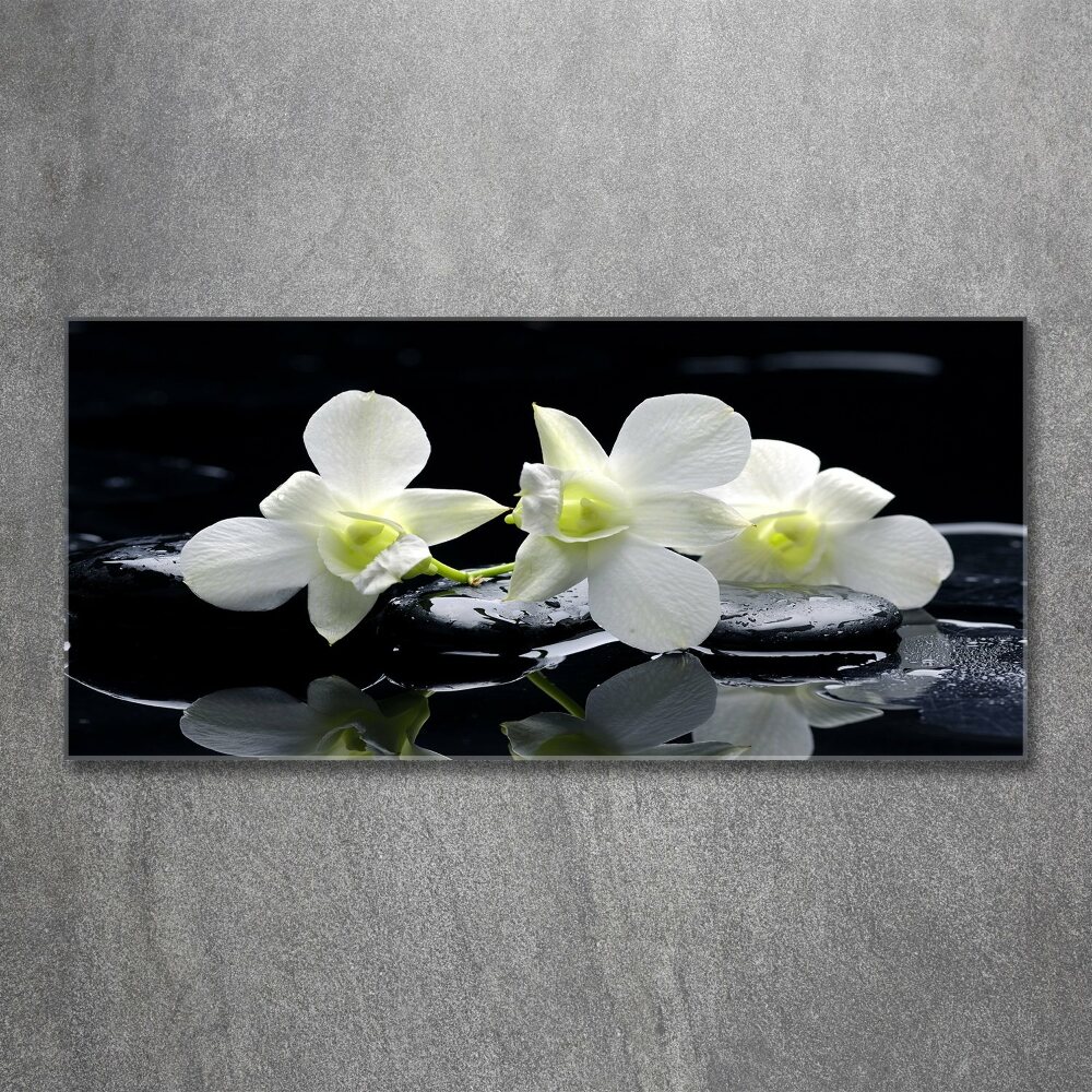 Obraz zdjęcie na ścianę akryl Orchidea