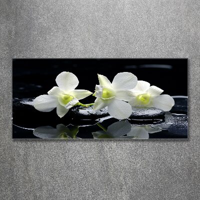 Obraz zdjęcie na ścianę akryl Orchidea