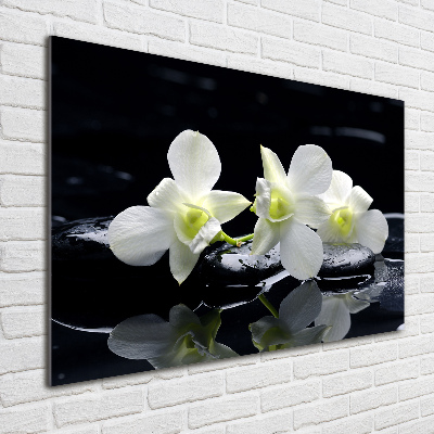 Obraz zdjęcie na ścianę akryl Orchidea