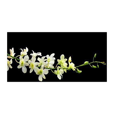 Obraz zdjęcie na ścianę akryl Orchidea