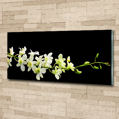 Obraz zdjęcie na ścianę akryl Orchidea