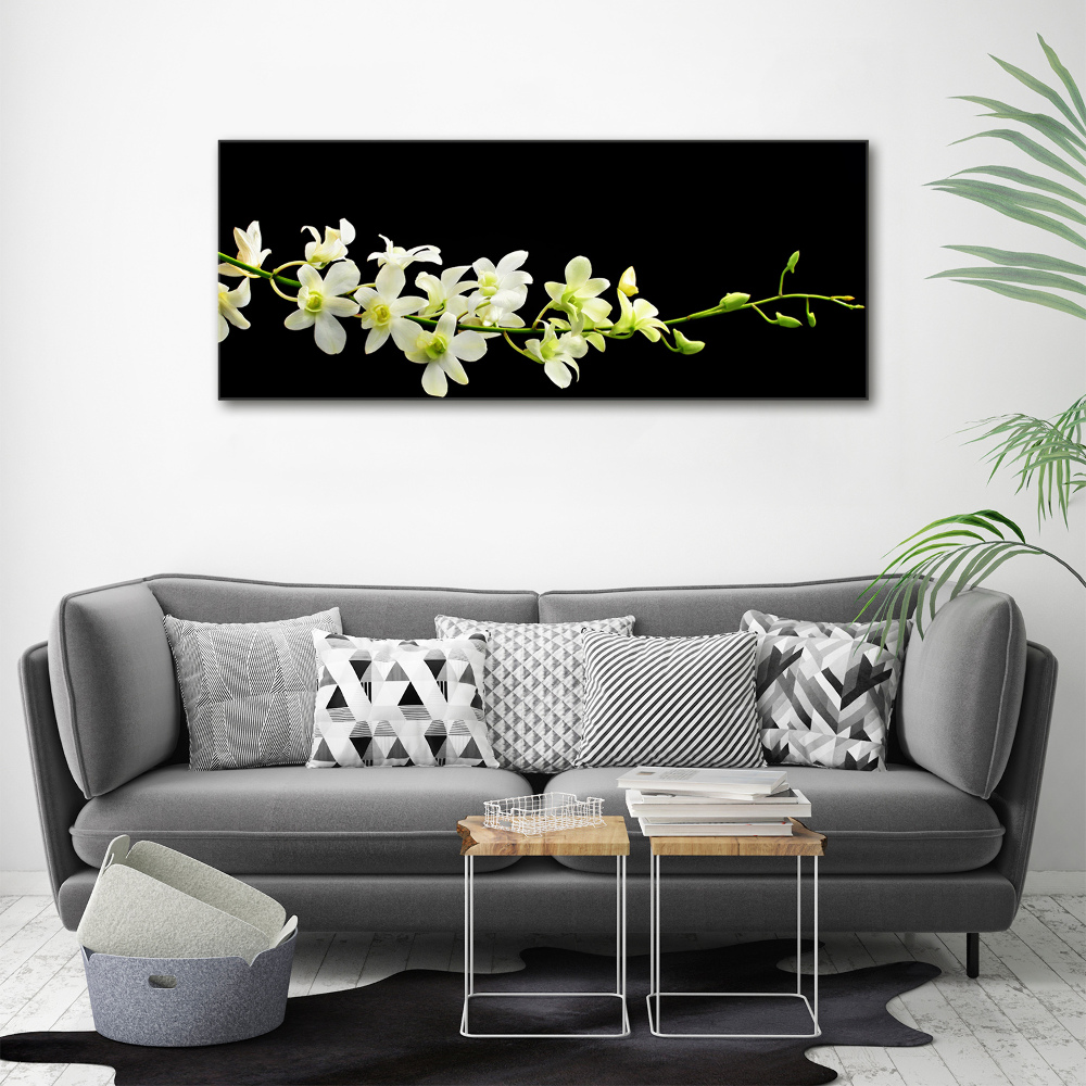 Obraz zdjęcie na ścianę akryl Orchidea