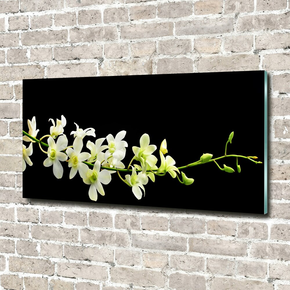 Obraz zdjęcie na ścianę akryl Orchidea