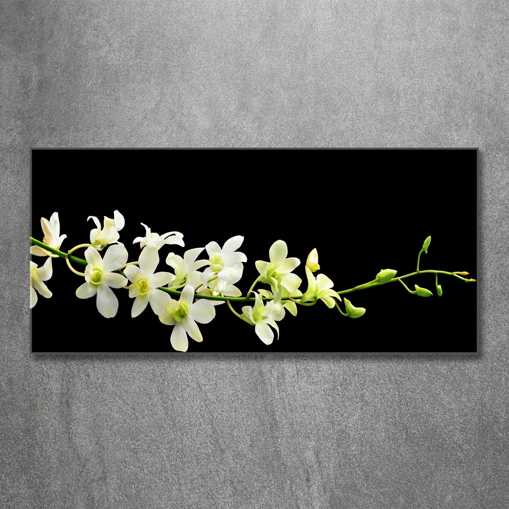 Obraz zdjęcie na ścianę akryl Orchidea