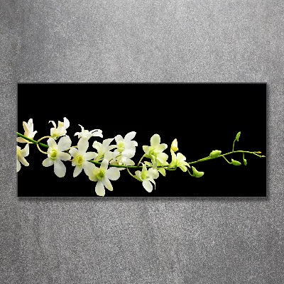 Obraz zdjęcie na ścianę akryl Orchidea