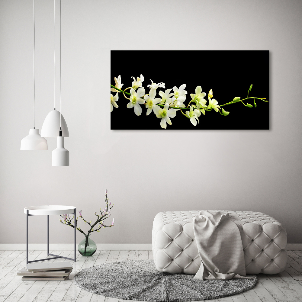 Obraz zdjęcie na ścianę akryl Orchidea
