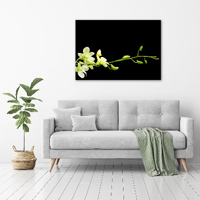 Obraz zdjęcie na ścianę akryl Orchidea