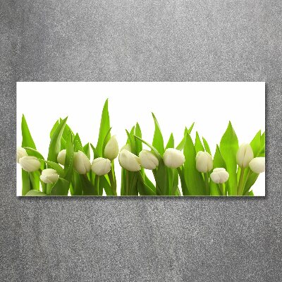 Obraz zdjęcie szkło akryl Białe tulipany