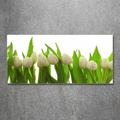 Obraz zdjęcie szkło akryl Białe tulipany