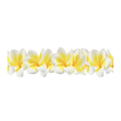 Obraz zdjęcie na ścianę akryl Plumeria
