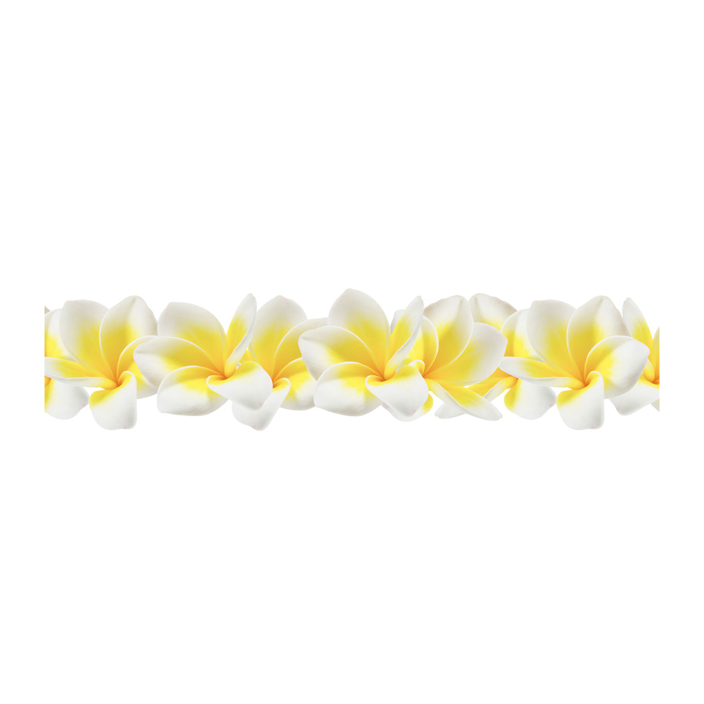 Obraz zdjęcie na ścianę akryl Plumeria