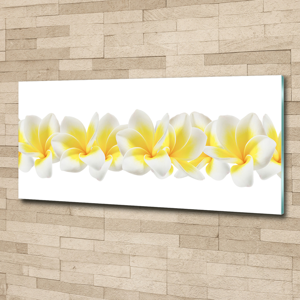 Obraz zdjęcie na ścianę akryl Plumeria