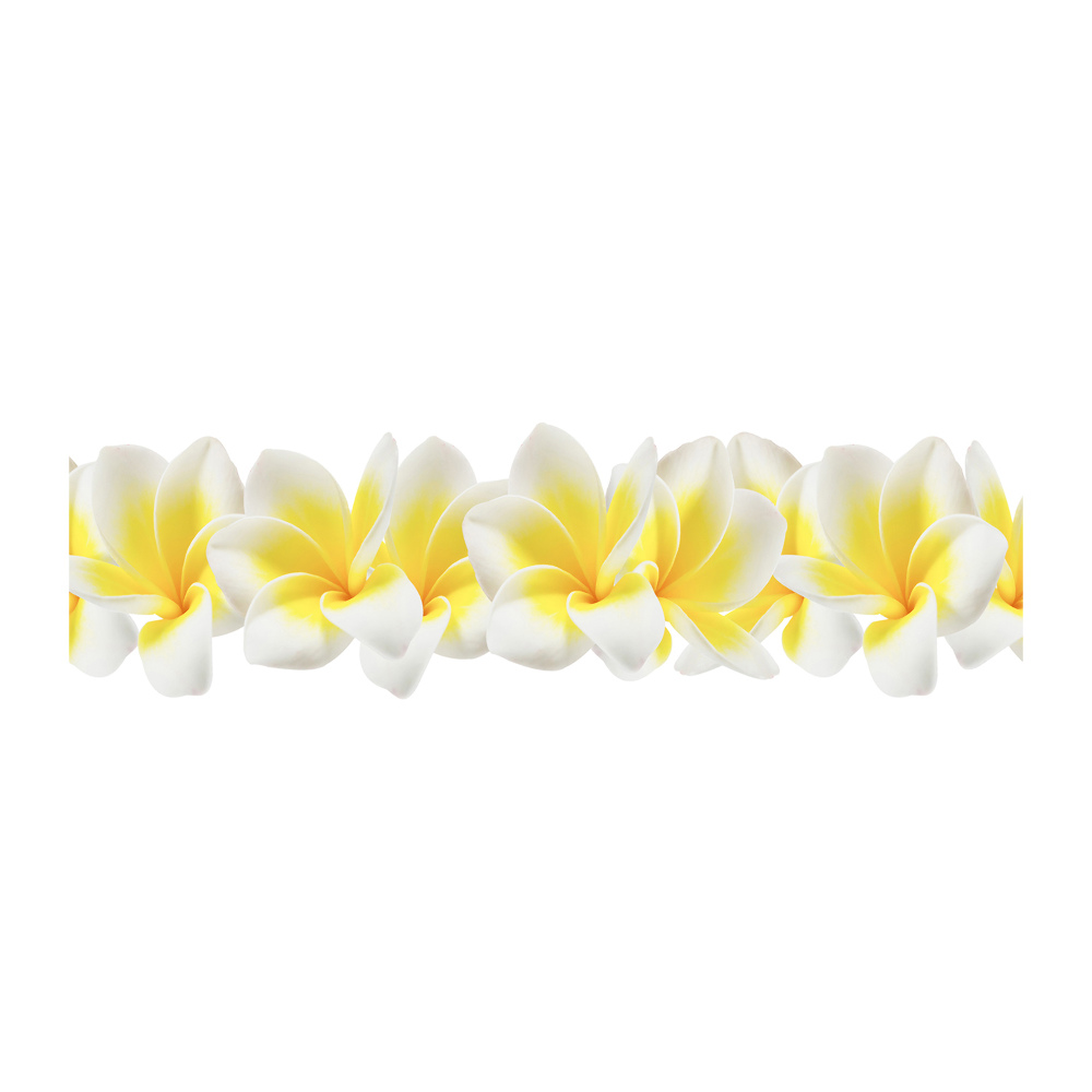 Obraz zdjęcie na ścianę akryl Plumeria