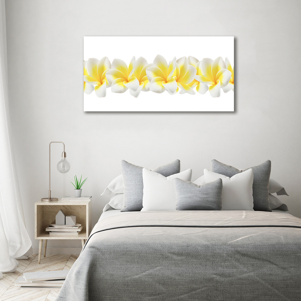 Obraz zdjęcie na ścianę akryl Plumeria
