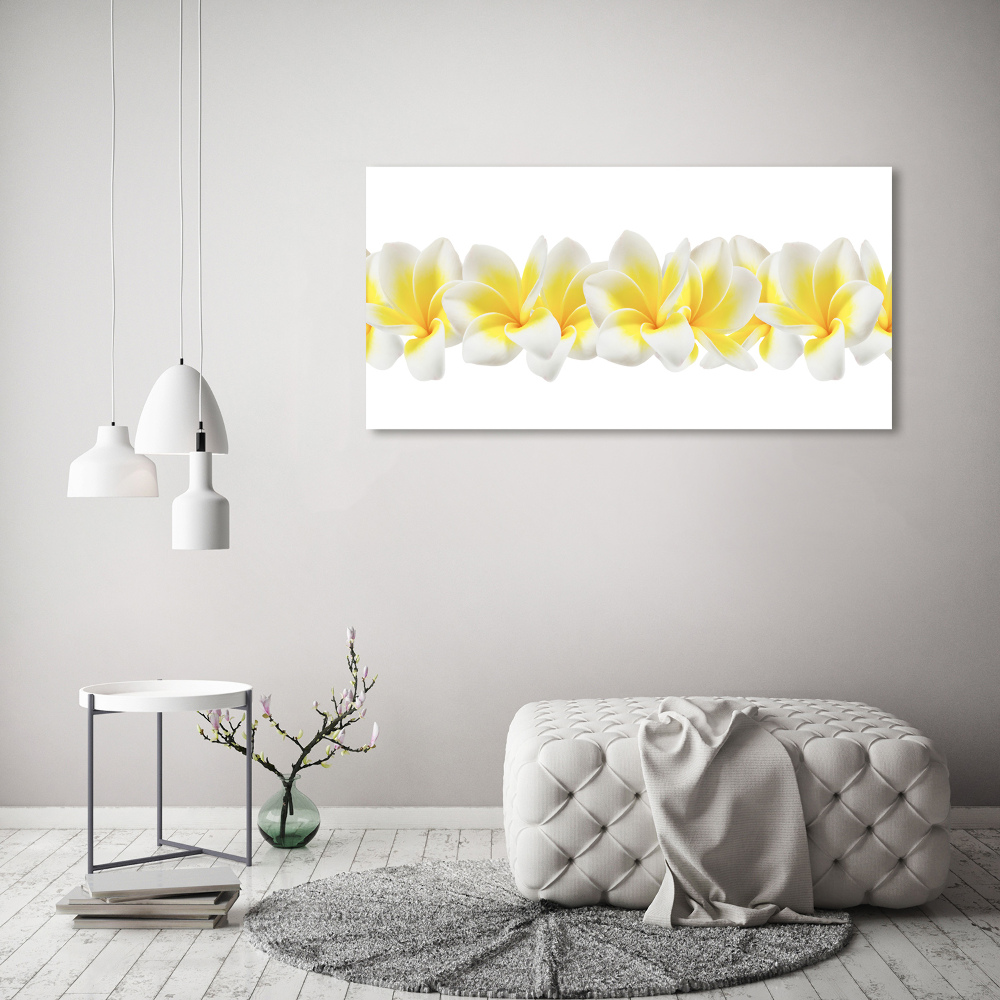 Obraz zdjęcie na ścianę akryl Plumeria