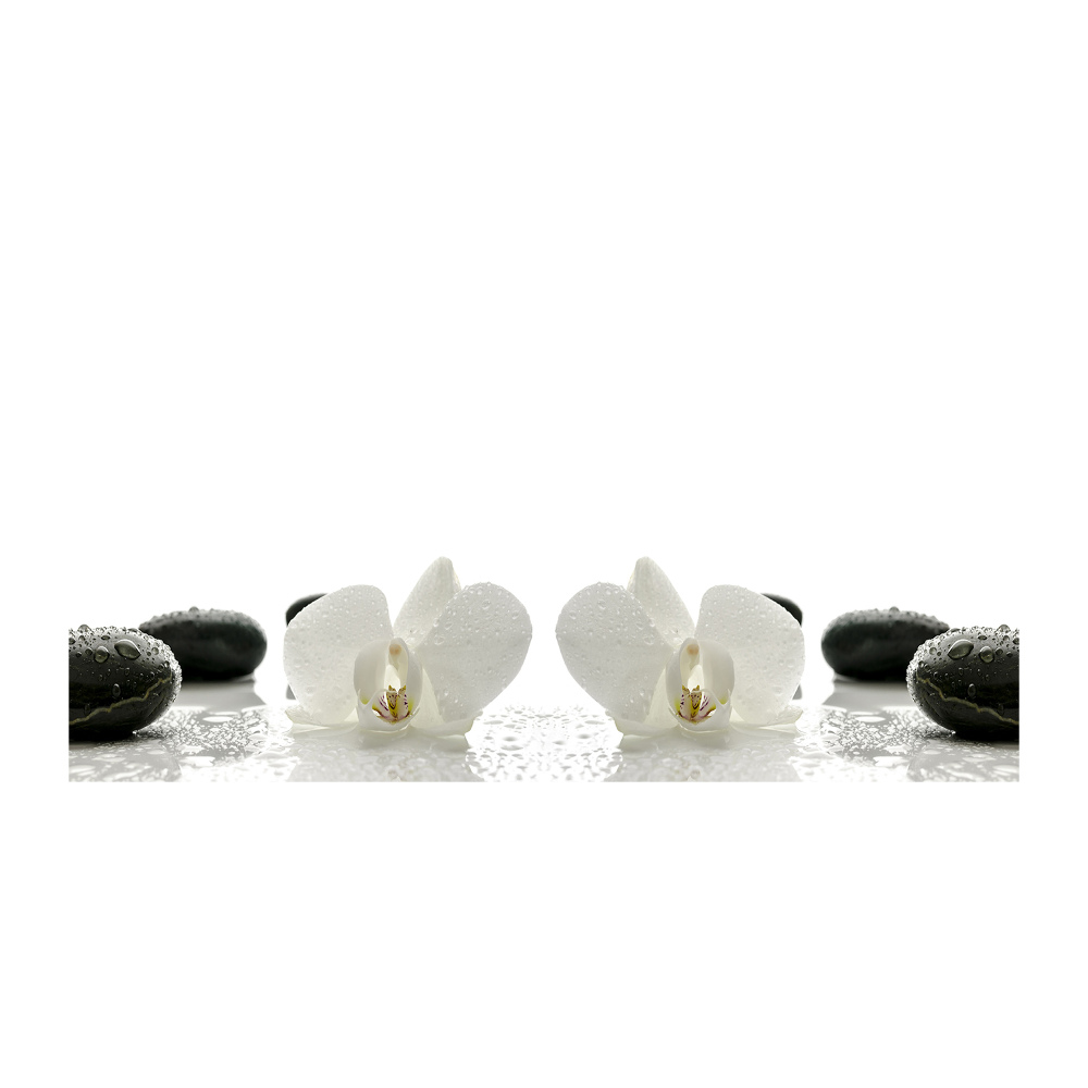 Obraz zdjęcie na ścianę akryl Orchidea