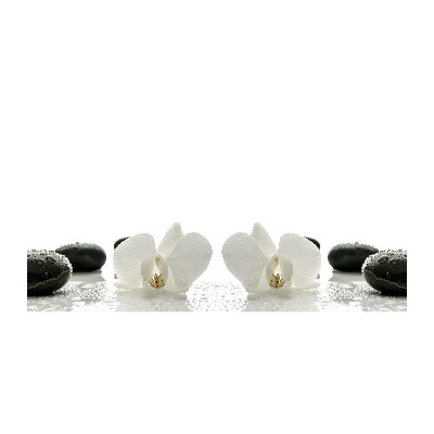 Obraz zdjęcie na ścianę akryl Orchidea
