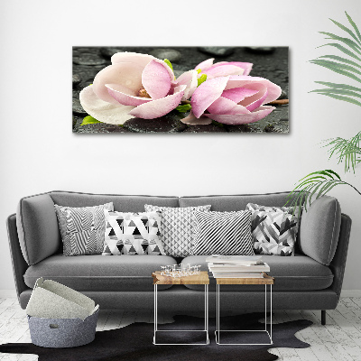 Obraz zdjęcie akryl Magnolia kamień zen
