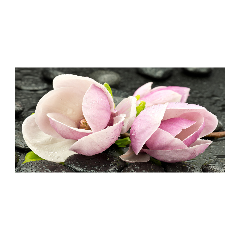 Obraz zdjęcie akryl Magnolia kamień zen