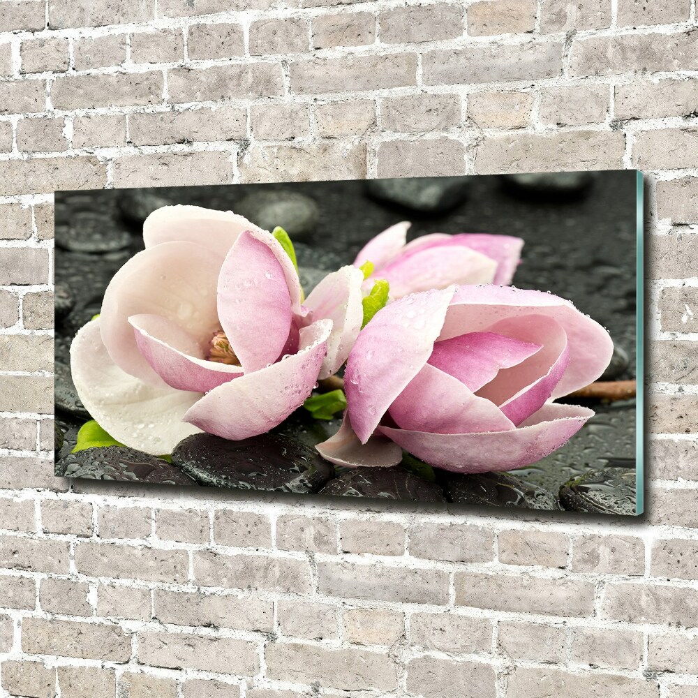 Obraz zdjęcie akryl Magnolia kamień zen