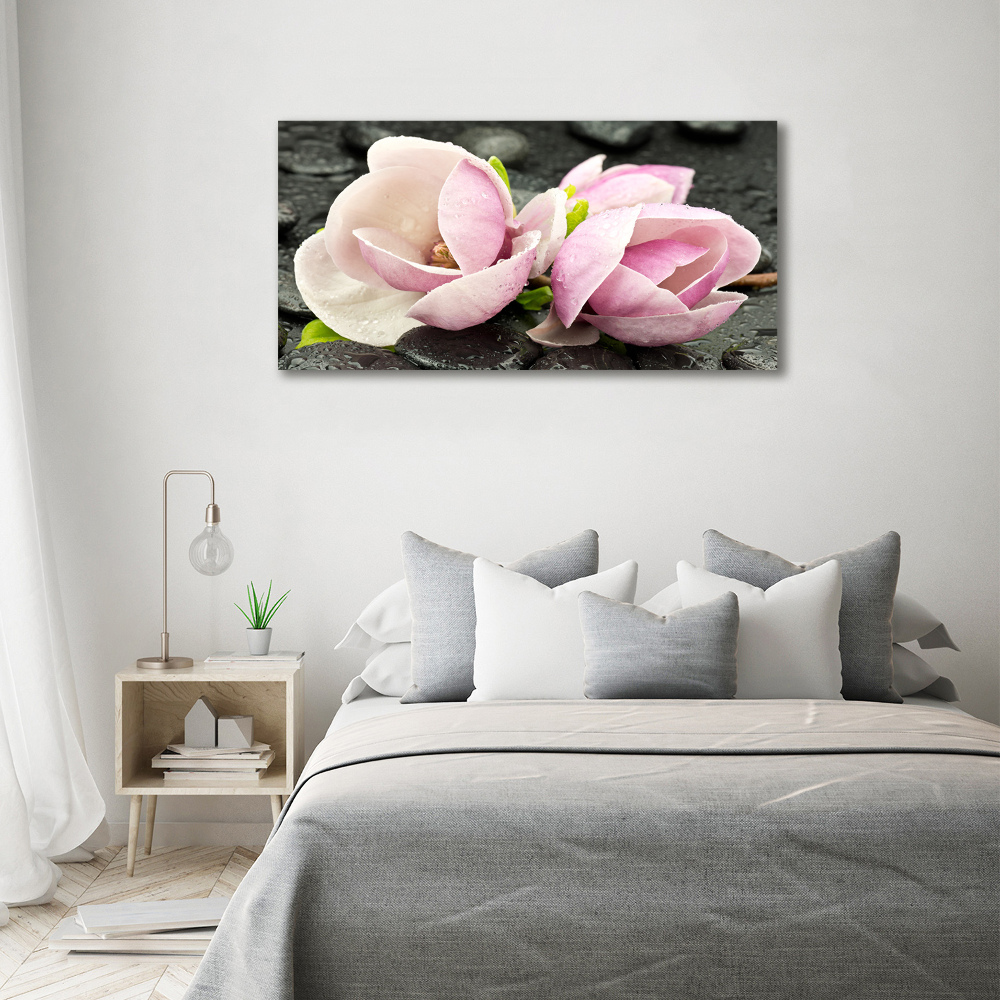 Obraz zdjęcie akryl Magnolia kamień zen