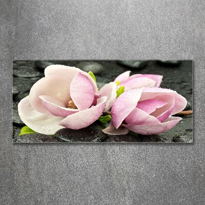 Obraz zdjęcie akryl Magnolia kamień zen