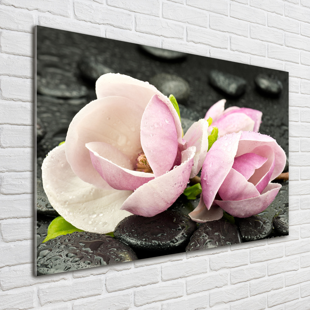 Obraz zdjęcie akryl Magnolia kamień zen
