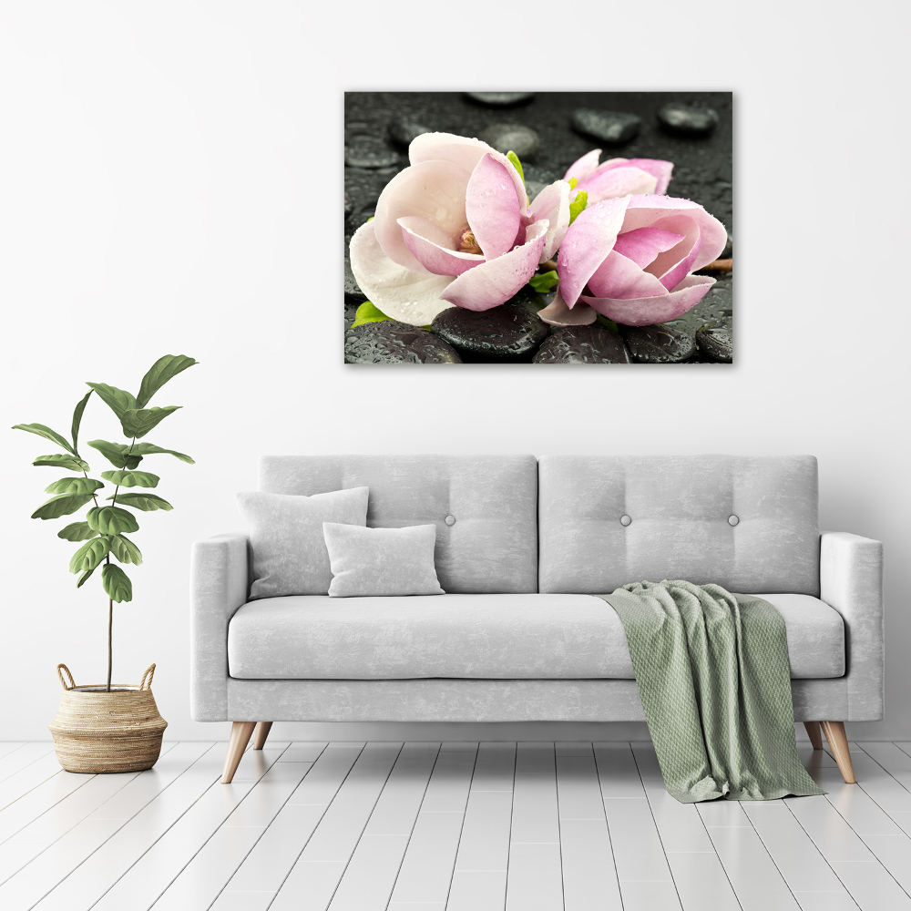Obraz zdjęcie akryl Magnolia kamień zen