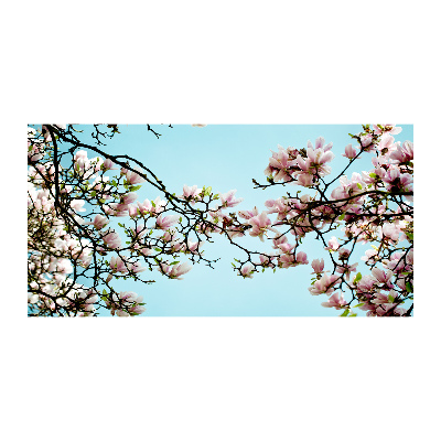 Obraz zdjęcie szkło akryl Kwiaty magnolii