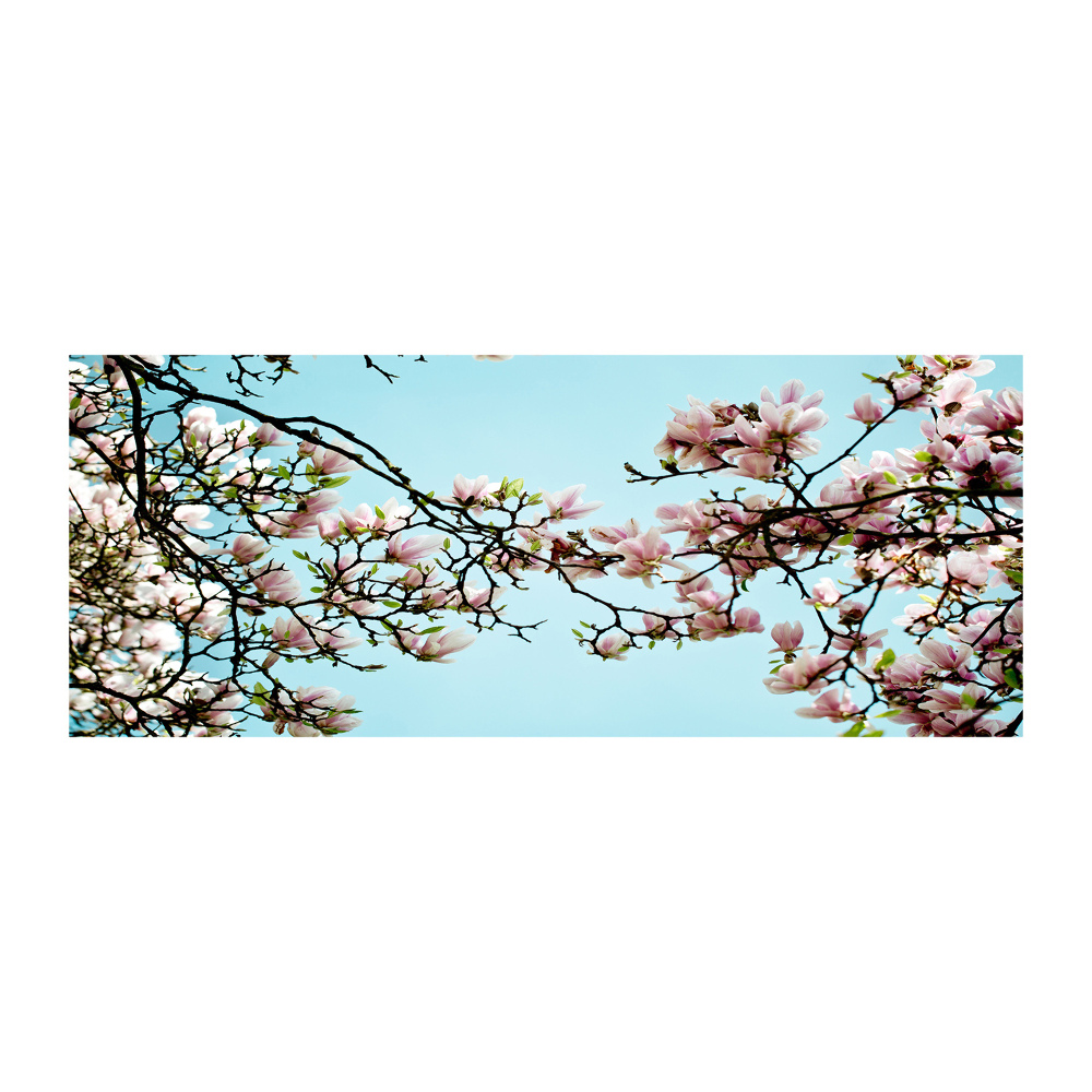 Obraz zdjęcie szkło akryl Kwiaty magnolii