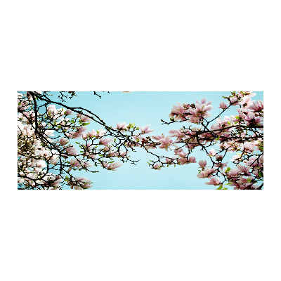 Obraz zdjęcie szkło akryl Kwiaty magnolii