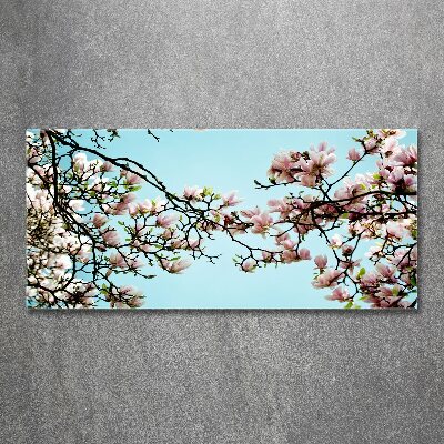 Obraz zdjęcie szkło akryl Kwiaty magnolii