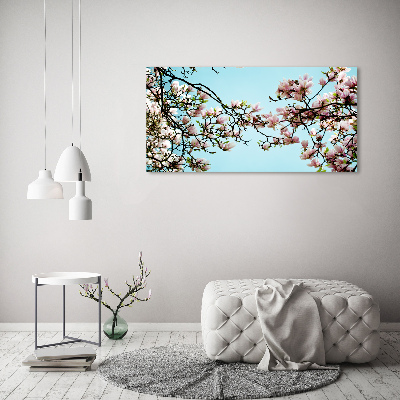 Obraz zdjęcie szkło akryl Kwiaty magnolii