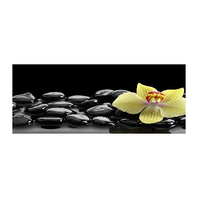 Obraz zdjęcie na ścianę akryl Orchidea