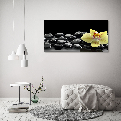 Obraz zdjęcie na ścianę akryl Orchidea